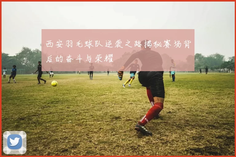 西安羽毛球队逆袭之路揭秘赛场背后的奋斗与荣耀