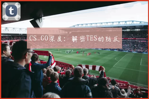 CS_GO深度：解密TES的防反