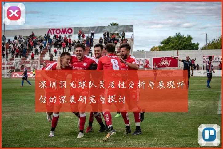 深圳羽毛球队灵活性分析与表现评估的深度研究与探讨