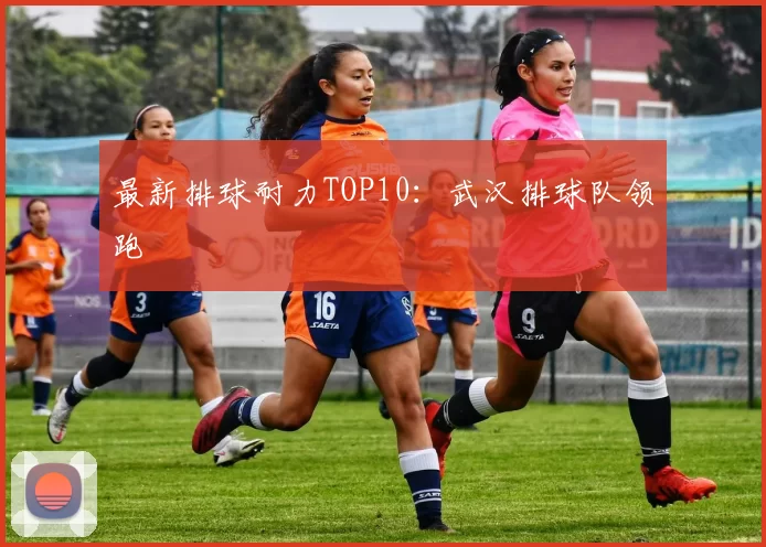 最新排球耐力TOP10：武汉排球队领跑