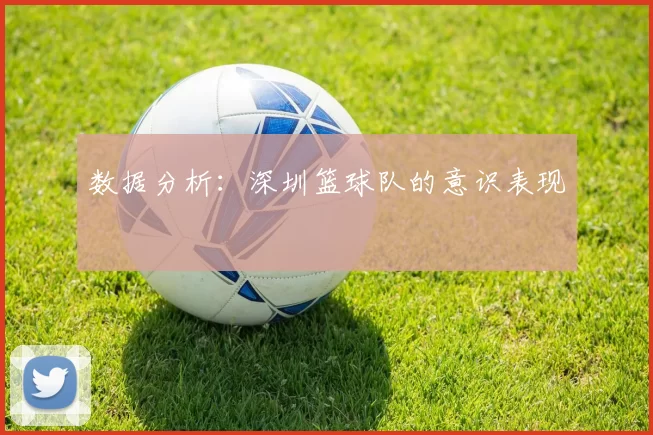 数据分析：深圳篮球队的意识表现
