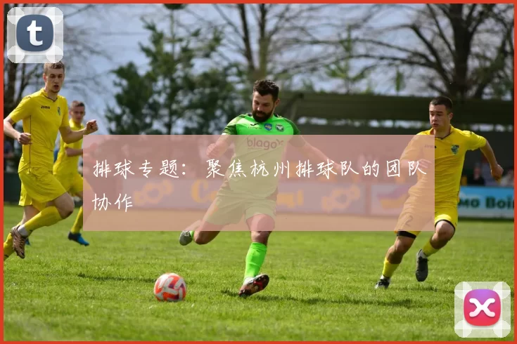 排球专题：聚焦杭州排球队的团队协作