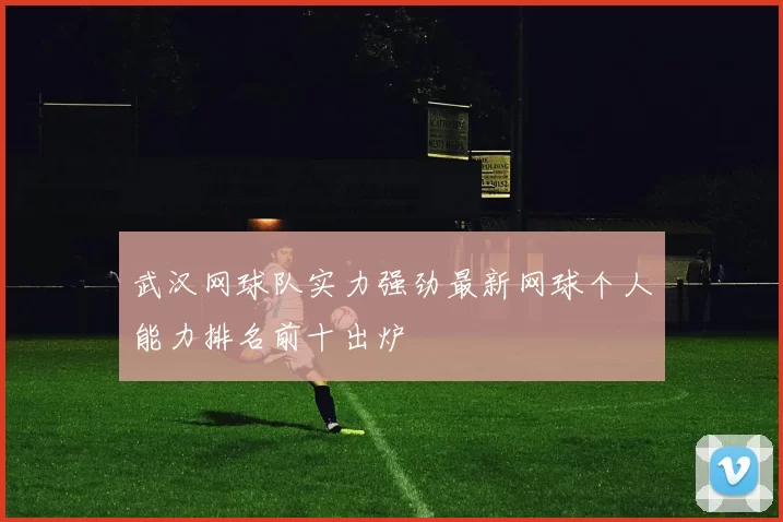 武汉网球队实力强劲最新网球个人能力排名前十出炉