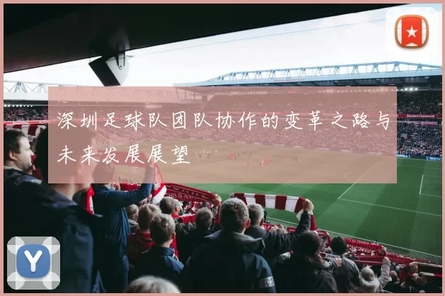 深圳足球队团队协作的变革之路与未来发展展望