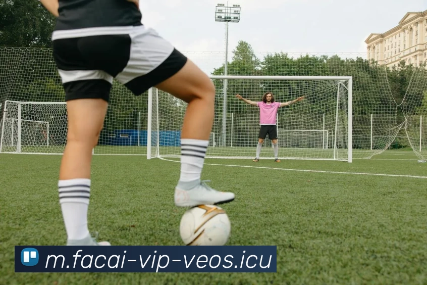 MK体育平台生态图